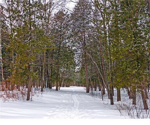 scenic path cut in snow
