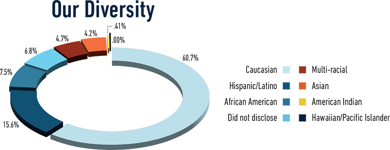illustration of a pie chart showing student diversity